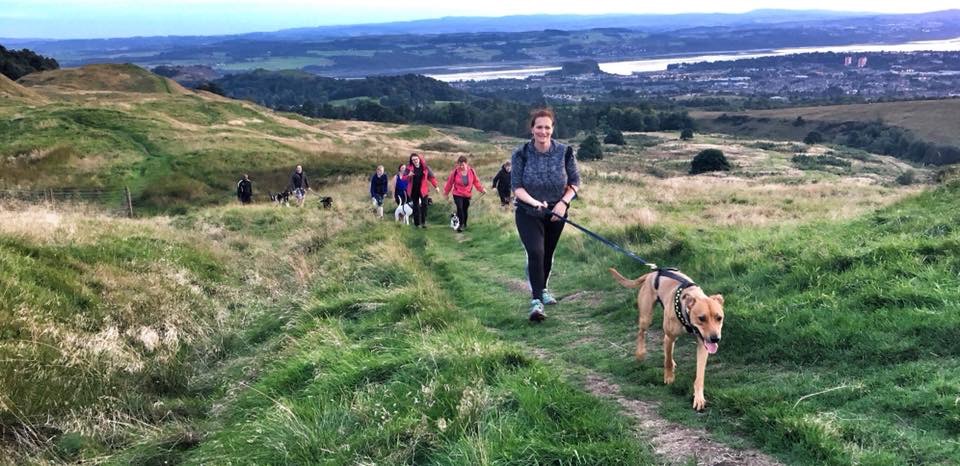 Read more about the article Cani-Tour – Langcraigs and Doughnot Hill Cani-Hike