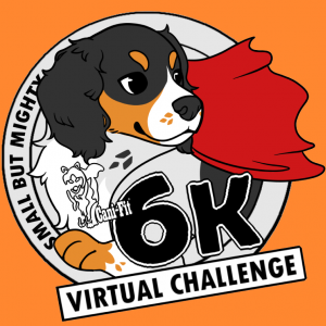 Virtual Challenges