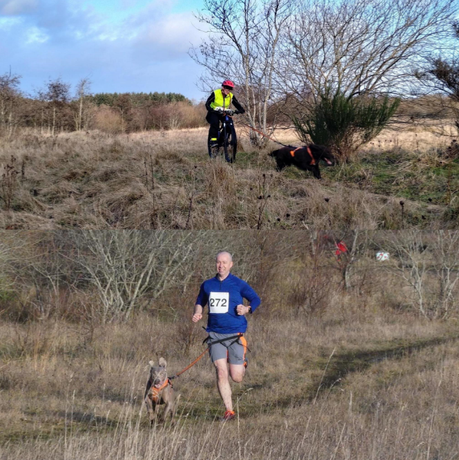 Read more about the article Canicross & Bikejor Marked Route/Time Trial