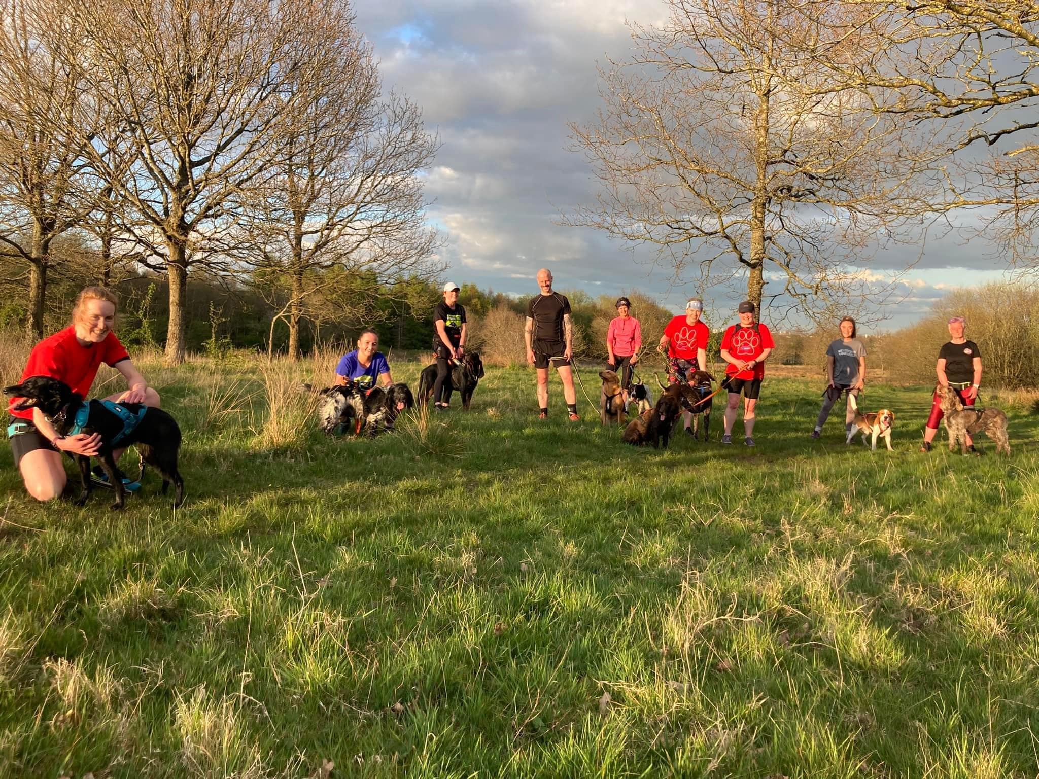 Read more about the article Linwood Beginners Pop Up